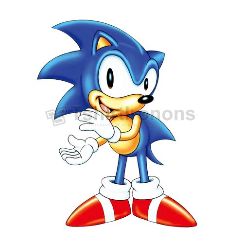 Sonic the Hedgehog T-shirts Iron On Transfers N7977 - Click Image to Close